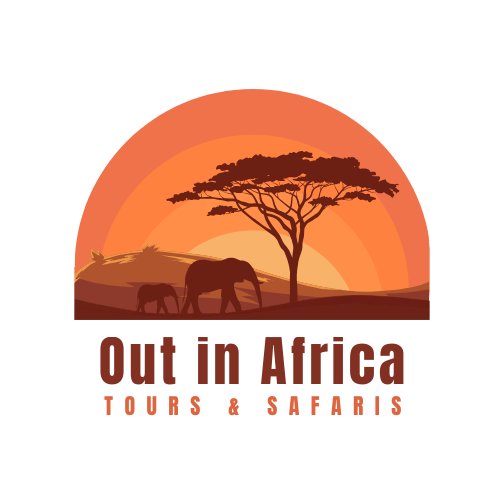 Out in Africa Tours & Safaris